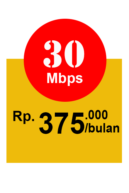 Internet Retail Home 30 mbps
